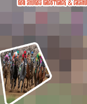 Horse racing casino near me